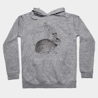 Rabbits Hoodie